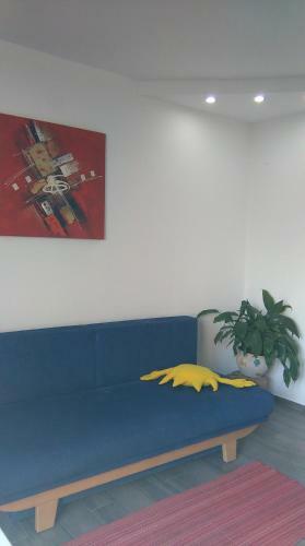 Apartment Cvjetna