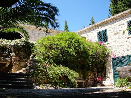 Villa Klematis