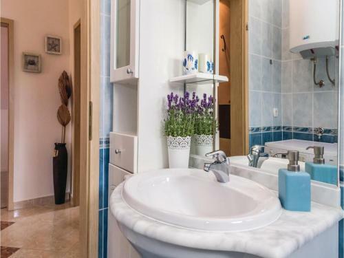 Three-bedroom Apartment Barbat With Sea View 01