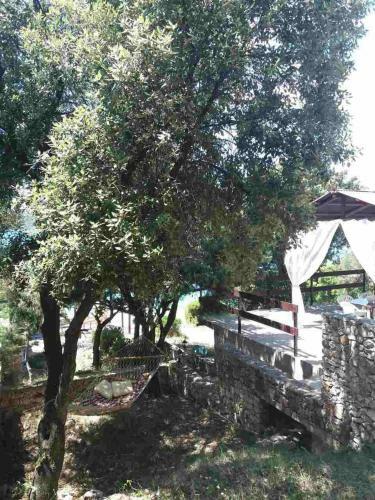 Apartamento Villa Rose Ann
