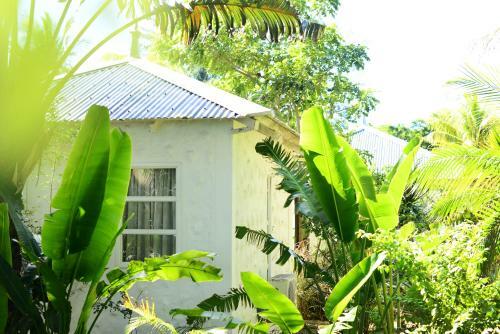 Hotel The Ravenala Attitude