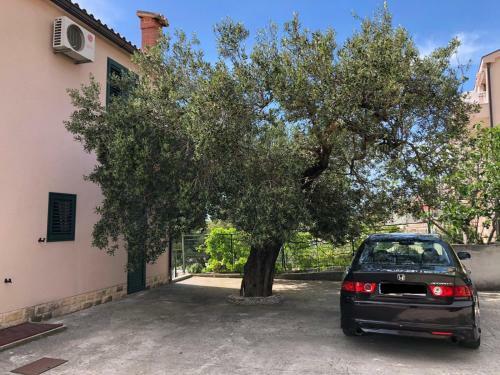 Apartamentos Villa Oliva