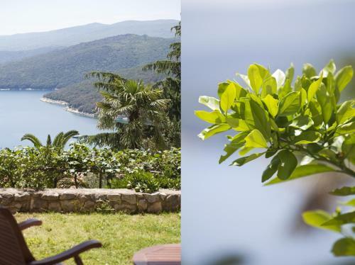 Apartamentos Casa M Rabac