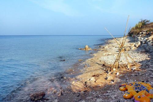 Apartments With A Parking Space Mareda (novigrad) - 7100