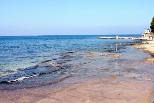 Apartments With A Parking Space Mareda (novigrad) - 7100