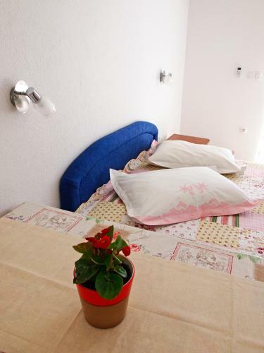 Hostal Apartments Pomalo