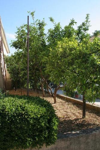 Apartment Orebic 4555b