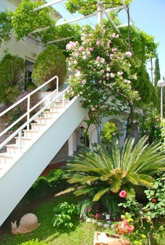 Apartamentos Villa Mediterranea - Rooftop Suite