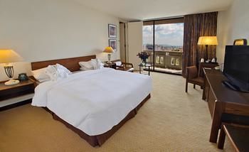 Hotel Hilton Addis Ababa