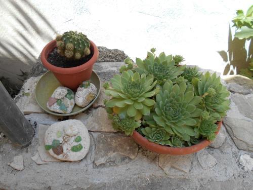 Apartment Lanterna