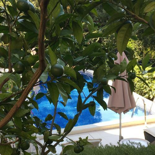 Hostal Guest House Villa Dagmar