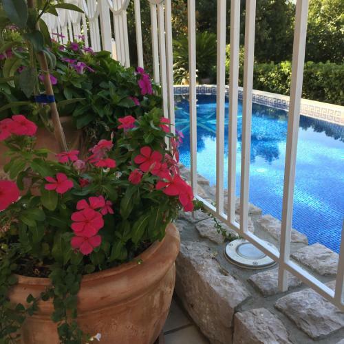 Hostal Guest House Villa Dagmar