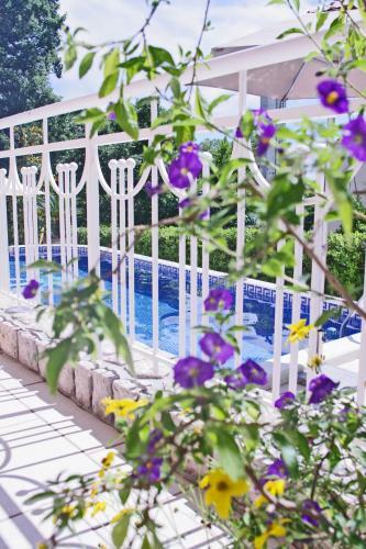 Hostal Guest House Villa Dagmar