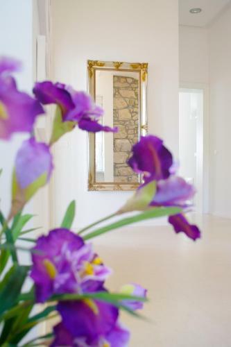 Hostal Guest House Villa Dagmar