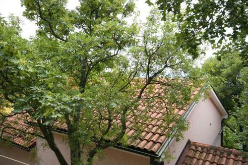 Apartment Povile 2398b