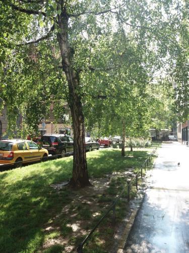 Charming Apartment Tanja