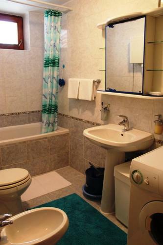 Apartamentos Studio Sigovic