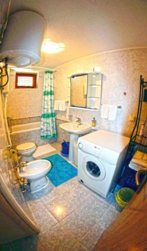 Apartamentos Studio Sigovic