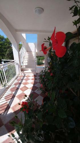 Apartments Antonio