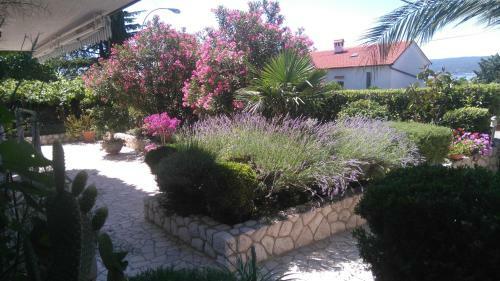 Apartments Fina