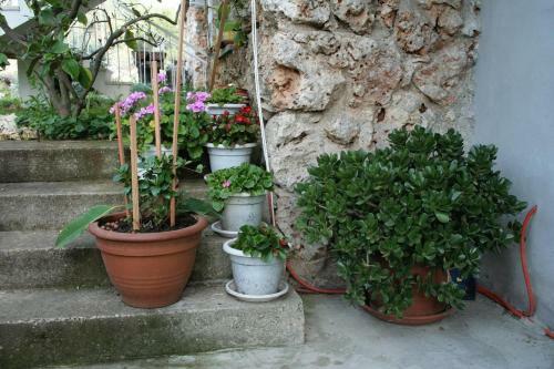 Apartment Lumbarda 4491b