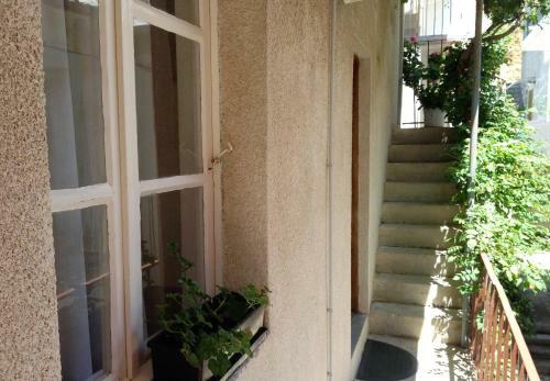 Apartments Soline