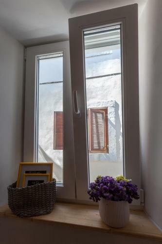 Hostal Guest House Blue