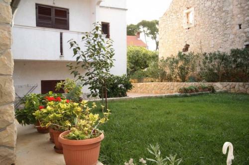 Apartment Pasman 694b