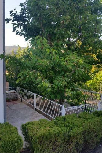 Seaside Holiday House Seget Vranjica (trogir) - 2195