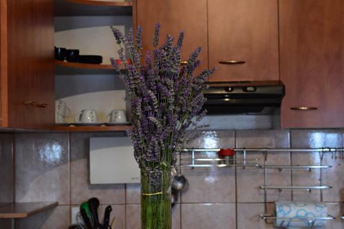 Apartment Anita