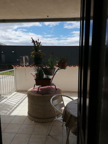 Hostal Apartments Ljubica