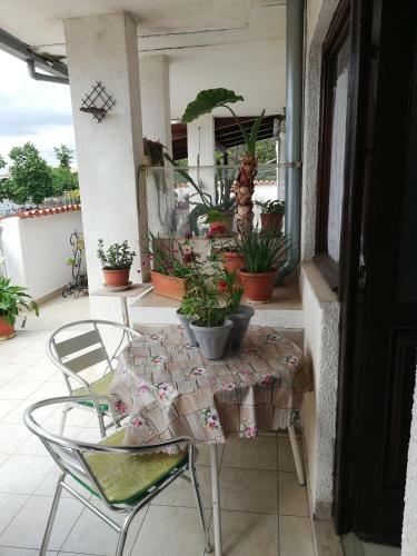 Hostal Apartments Ljubica