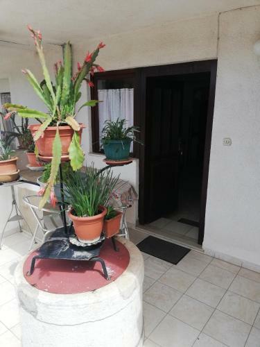 Hostal Apartments Ljubica