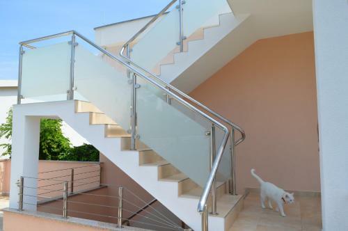 Apartments Lorenco
