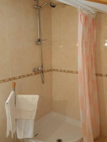 Apartment Violetta