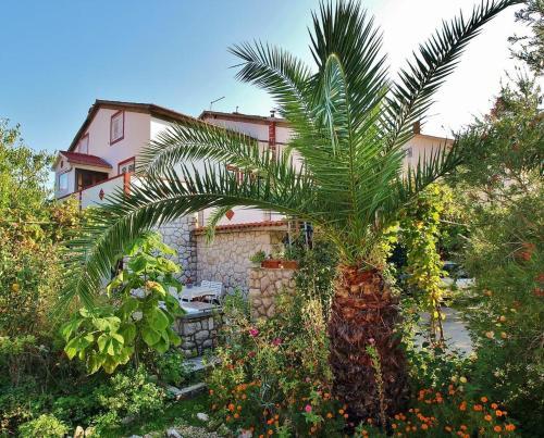 Apartments With A Parking Space Kampor (rab) - 5000