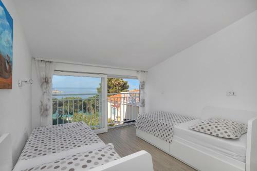Apartment Letica