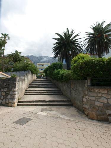 Apartment Letica