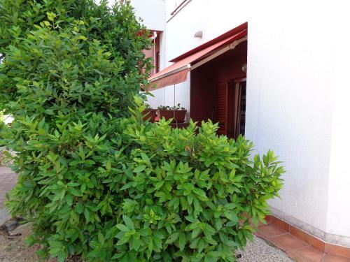 Apartment Adrijan II