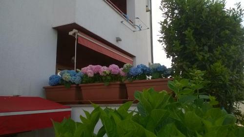 Apartment Adrijan II