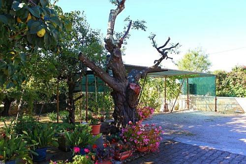 Apartment In Porec/istrien 10501