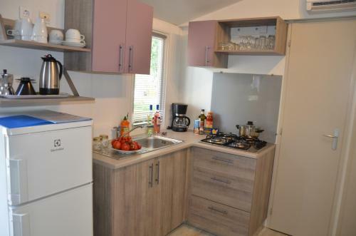 Happy Camp Mobile Homes In Camping Park Umag