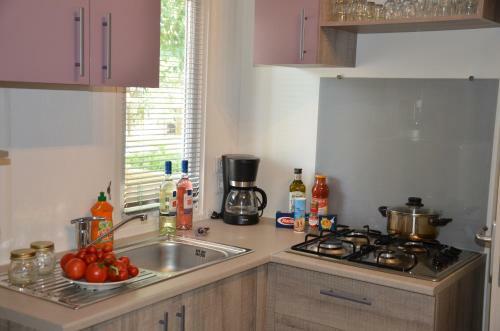 Happy Camp Mobile Homes In Camping Park Umag