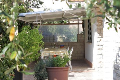 Apartment Novigrad 6979a