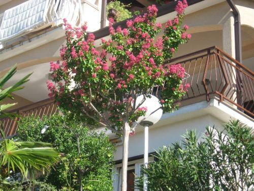 Apartments Silmare