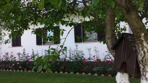 Apartments Patar