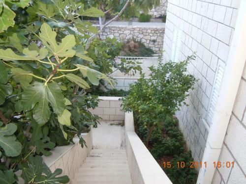 Central Apartment Dubrovnik