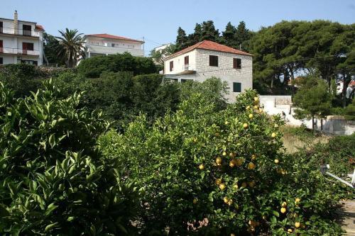 Apartamentos Studio Jelsa 4602a