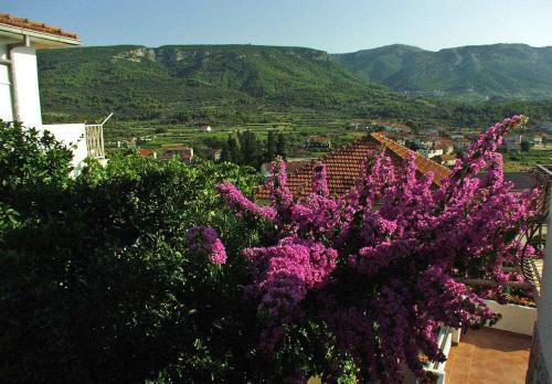 Apartments And Rooms With Parking Space Jelsa (hvar) - 4640
