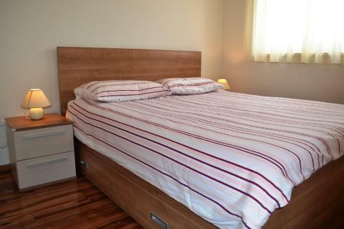 Apartment Dario